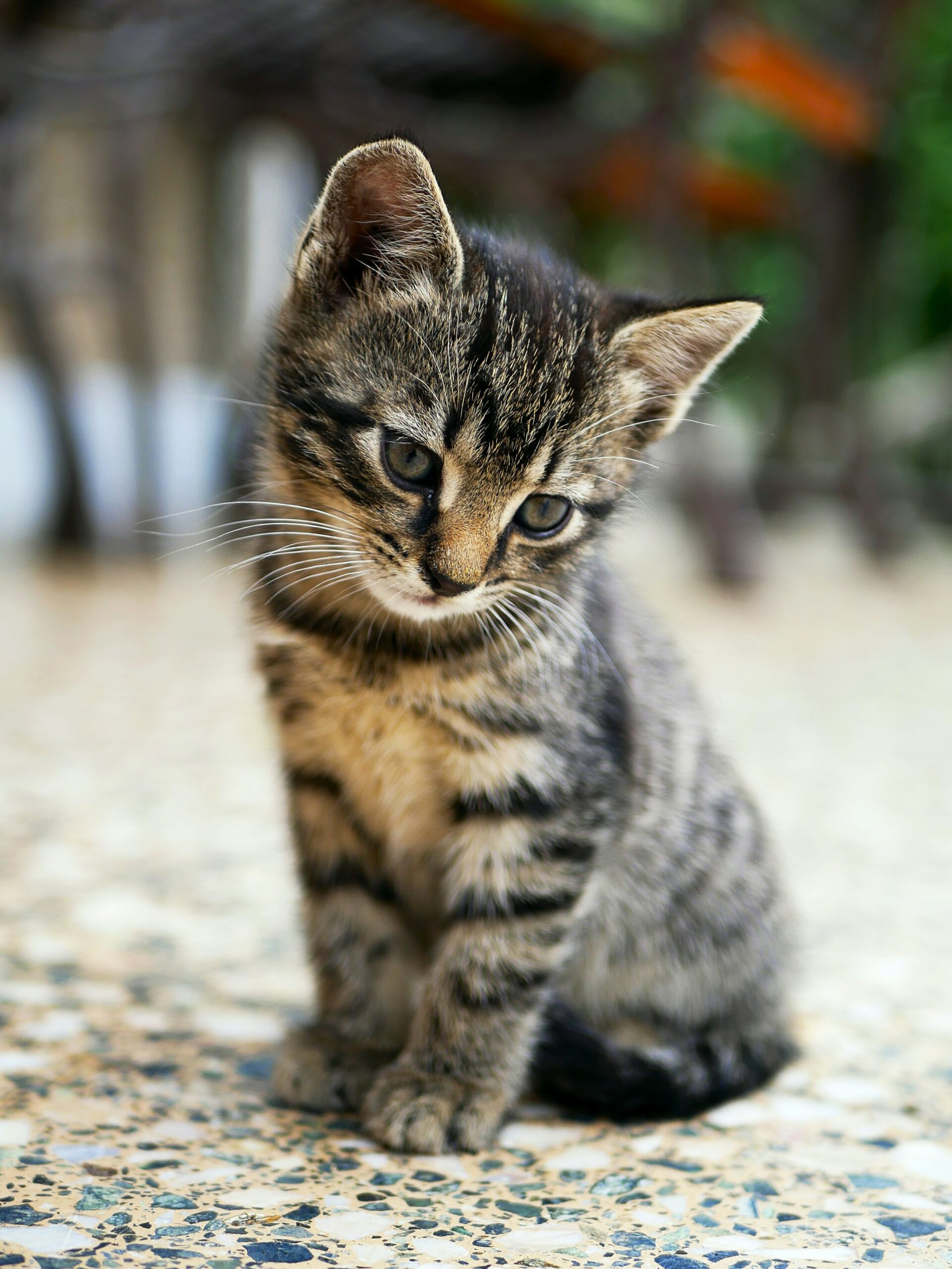 Hello world!